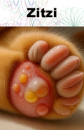 Zitzi